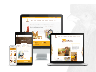 Dịch vụ thiết kế web theo nhận diện thương hiệu